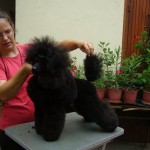 44361_142919935742562_100000736694923_244788_4729210_n(2)